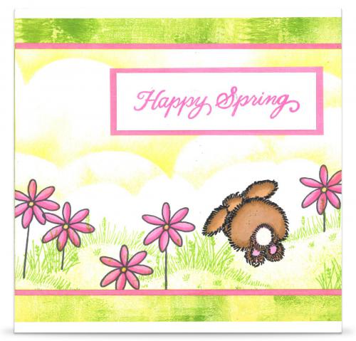 Hoppy Spring